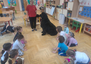 Dogoterapia