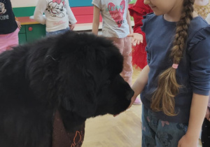 Dogoterapia