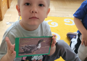 Dzieci poznają wiejskie zwierzęta