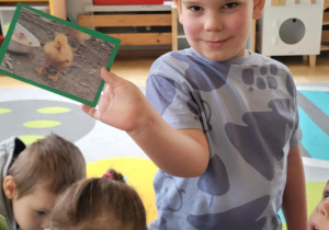 Dzieci poznają wiejskie zwierzęta