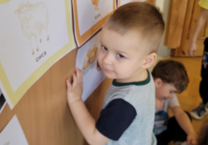 Dzieci poznają wiejskie zwierzęta