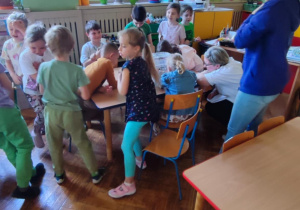 dzieci uczą się ciekawostek o mrówkach