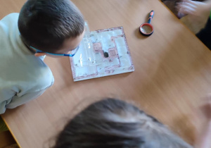 dzieci uczą się ciekawostek o mrówkach