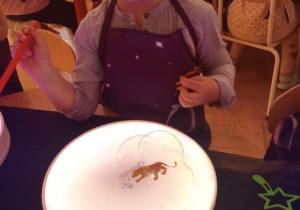 Kolorowe bańki