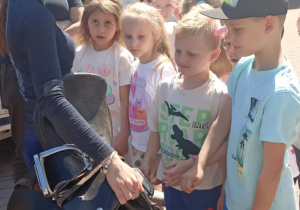pani pokazuje uprząż konia