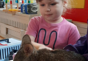 dziewczynka głaszcze kangura