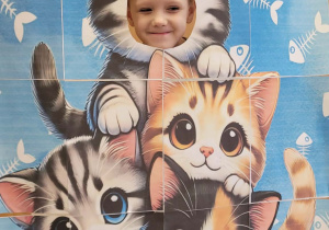Fotobudka koty