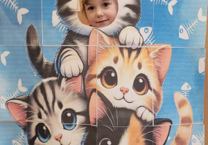 Fotobudka koty