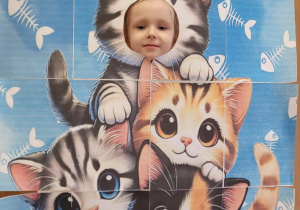 Fotobudka koty