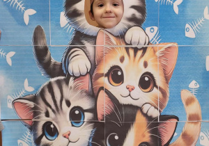 Fotobudka koty