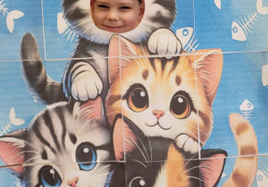 Fotobudka koty