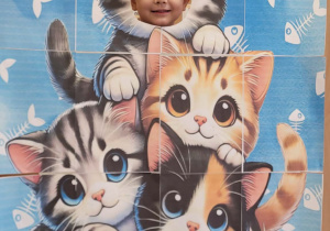 Fotobudka koty