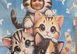 Fotobudka koty