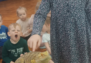 dziewczynka głaszcze agame