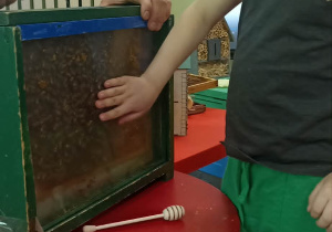 dzieci ogladają ul