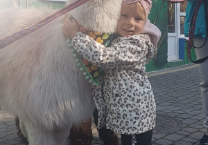 Dziecko przytula alpakę