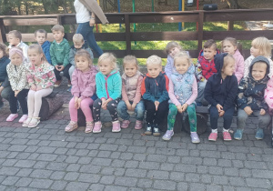 Dzieci oglądają alpaki