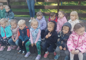 Dzieci oglądają alpaki