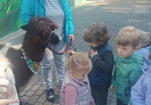 Dzieci przytulają alpaki
