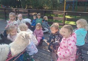 Dzieci przytulają alpaki