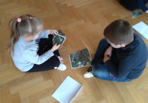 zagadki obrazkowe z ptakami