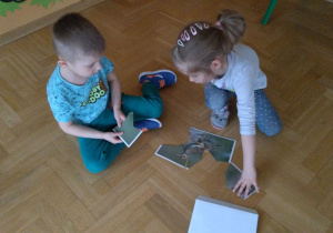 zagadki obrazkowe z ptakami