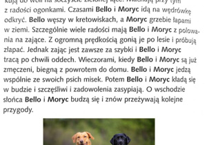 zadania czwartkowe