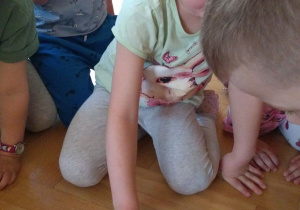 Rozwiązywanie sudoku
