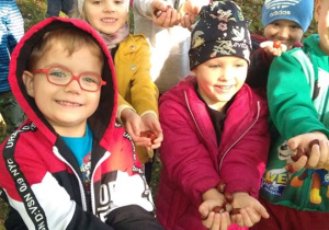 Zbieramy kasztany i żolędzie