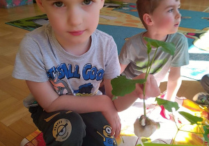 Dzieci sądzą roślinki