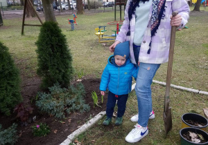 Mama i młodszy brat Honoratki sadzą rośliny w ogrodzie przedszkolnym