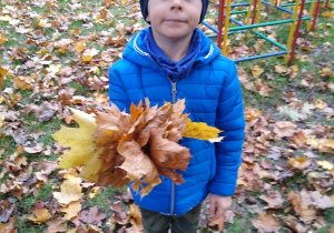 Chłopiec trzyma bukiet z liści
