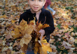 chłopiec trzyma liście