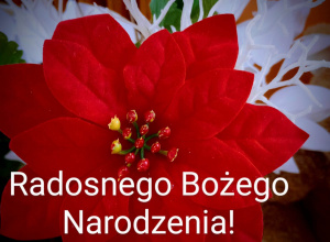 Boże Narodzenie