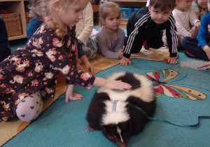 "Odlotowa lekcja przyrody" - skunks