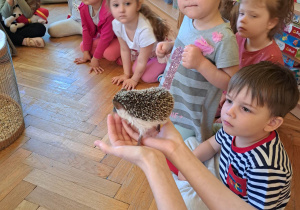 Spotkanie z jeżem i wiewiórką