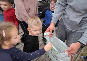 Zbieramy dary jesieni