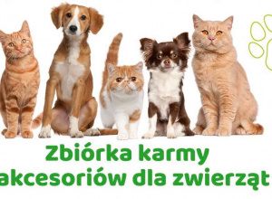 Zbiórka karmy i akcesoriów dla zwierząt