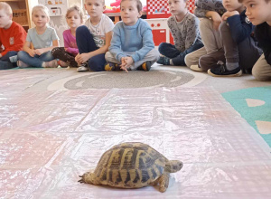 Niezwykli goście