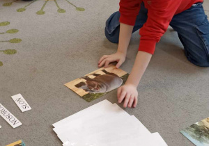 dzieci wybieraja ilustrację ze zwierzętami i podpisy do nich