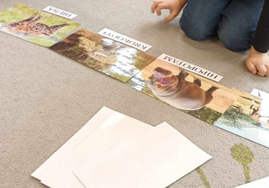 dzieci wybieraja ilustrację ze zwierzętami i podpisy do nich