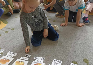 dzieci układają nazwy zwierząt na wsi