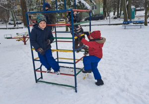 Zimą w ogrodzie...