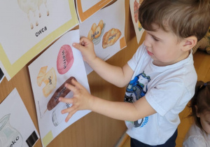 Dzieci poznają wiejskie zwierzęta