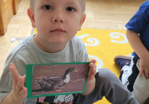Dzieci poznają wiejskie zwierzęta