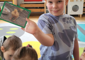 Dzieci poznają wiejskie zwierzęta