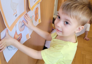 Dzieci poznają wiejskie zwierzęta