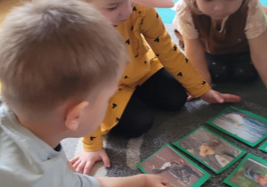 Dzieci poznają wiejskie zwierzęta