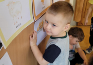 Dzieci poznają wiejskie zwierzęta