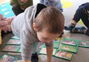 Dzieci poznają wiejskie zwierzęta